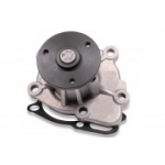 Veepump HEPU P901