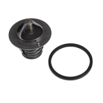 Termostaat, jahutusvedelik BLUE PRINT ADT39207