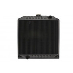 Radiaator,mootorijahutus THERMOTEC D7AG175TT
