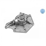 Veepump MEYLE 113 220 0006