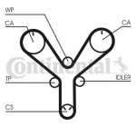 Hammasrihm CONTITECH CT1147