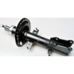Amortisaator DENCKERMANN DSB249G