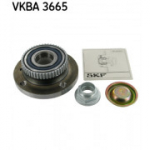 Rattalaagrikomplekt SKF VKBA 3665