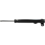 Amortisaator DENCKERMANN DSF025G