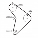 Hammasrihm GATES 5307
