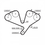 Hammasrihm GATES 5442XS