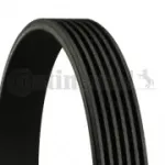 Soonrihm CONTITECH 6PK1020 EXTRA