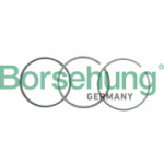 Kolvir&otilde;ngakomplekt Borsehung B19054