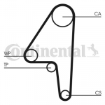 Hammasrihm CONTITECH CT591