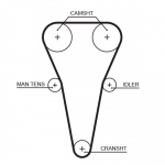 Hammasrihm GATES 5567XS