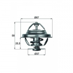 Termostaat, jahutusvedelik MAHLE ORIGINAL TX 20 80D