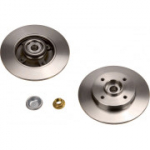 Piduriketas TRW DF4452BS