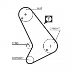 Hammasrihm GATES 5572XS