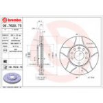 Piduriketas BREMBO 09.7629.75