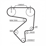 Hammasrihm GATES 5194XS