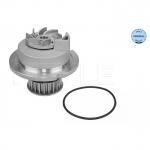 Veepump MEYLE 613 600 4135