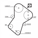 Hammasrihm GATES 5049XS