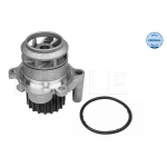 Veepump MEYLE 113 012 0059
