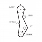 Hammasrihm GATES 5579XS