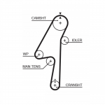 Hammasrihm GATES 5580XS