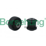 &Otilde;&otilde;tshoob Borsehung B18476