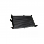 Radiaator, mootorijahutus THERMOTEC D7X061TT