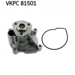 Veepump SKF VKPC 81501