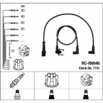 S&uuml;&uuml;tes&uuml;steemikomplekt NGK 7151