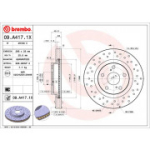 Piduriketas BREMBO 09.A417.1X