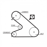 Hammasrihm GATES 5054