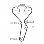 Hammasrihm GATES 5585XS