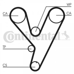 Hammasrihm CONTITECH CT814