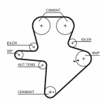 Hammasrihm GATES 5586XS