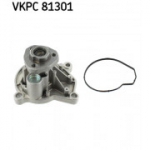 Veepump SKF VKPC 81301