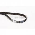 Hammasrihm CONTITECH CT611