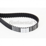 Hammasrihm CONTITECH CT1013