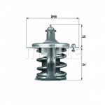 Termostaat, jahutusvedelik BEHR TX 79 78D