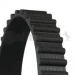 Hammasrihm CONTITECH HB133-20