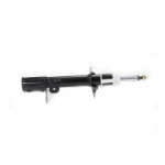 Amort FEBEST 1007G-001RR
