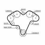 Hammasrihm GATES 5475