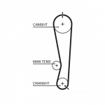 Hammasrihm GATES 5591XS