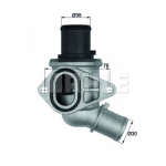 Termostaat, jahutusvedelik BEHR TI 116 70