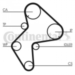 Hammasrihm CONTITECH CT775