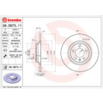 Piduriketas BREMBO 08.D973.11