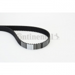 Hammasrihm CONTITECH CT1117