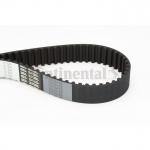 Hammasrihm CONTITECH CT1034