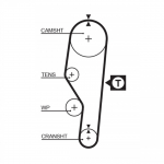 Hammasrihm GATES 5063