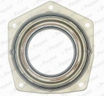 V&otilde;lli r&otilde;ngastihend, v&auml;ntv&otilde;ll PAYEN LK5000