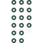Tihendikomplekt, klapis&auml;&auml;r REINZ 12-33457-02