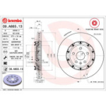 Piduriketas BREMBO 09.A665.13
